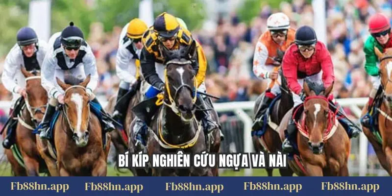 Cá Cược Đua Ngựa Fb88 - Đường Đua Sôi Động, Thắng Lớn 3 Bí kíp nghiên cứu ngựa và nài