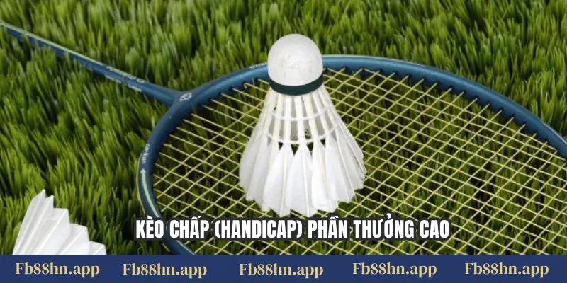 Cược Cầu Lông Fb88 - Kịch Tính Từng Cú Đánh, Thắng Lớn 3 Kèo chấp (handicap) phần thưởng cao