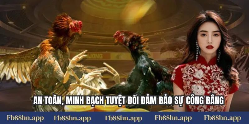 Đá Gà Mộc Bài Fb88: Đấu Trường Rực Cháy, Thưởng Cực Chất 2 An toàn, minh bạch tuyệt đối đảm bảo sự công bằng