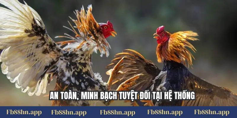 Đá Gà Thomo Fb88: Đấu Trường Kịch Tính, Thưởng Lớn 2 An toàn, minh bạch tuyệt đối tại hệ thống